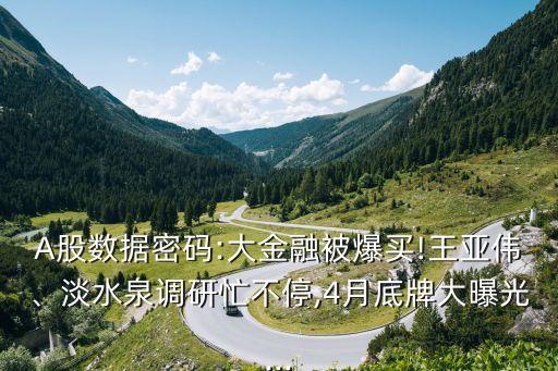 A股數(shù)據(jù)密碼:大金融被爆買!王亞偉、淡水泉調研忙不停,4月底牌大曝光...