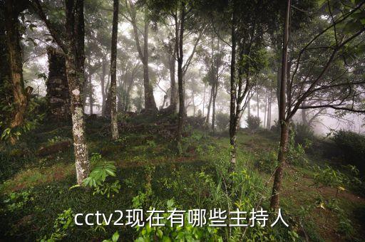 中國有名的財(cái)經(jīng)記者,中國最有名財(cái)經(jīng)女專家