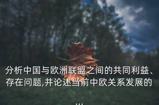 分析中國與歐洲聯(lián)盟之間的共同利益、存在問題,并論述當(dāng)前中歐關(guān)系發(fā)展的...