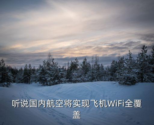 聽說國內(nèi)航空將實現(xiàn)飛機WiFi全覆蓋