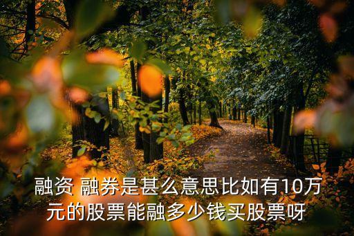  融資 融券是甚么意思比如有10萬(wàn)元的股票能融多少錢(qián)買(mǎi)股票呀