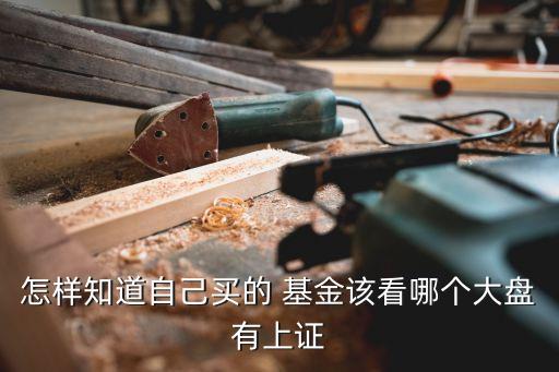 怎樣知道自己買的 基金該看哪個(gè)大盤有上證