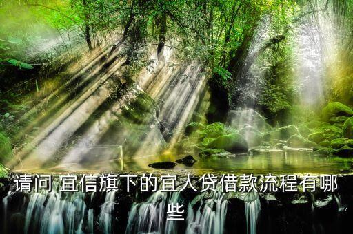 請(qǐng)問 宜信旗下的宜人貸借款流程有哪些