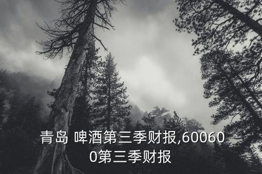 青島啤酒股份有限公司財務報表格