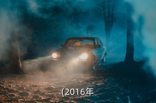 合格的境內機構投資者,合格境內機構投資者(QDII)