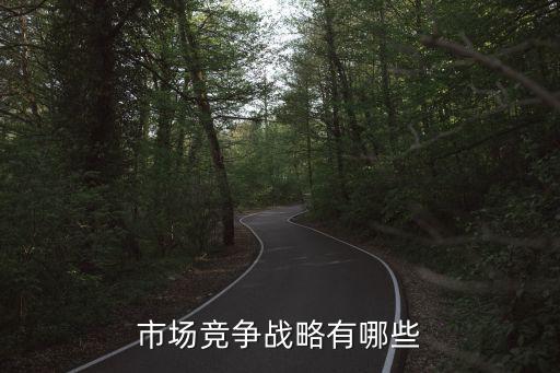 市場(chǎng)競(jìng)爭(zhēng)戰(zhàn)略有哪些