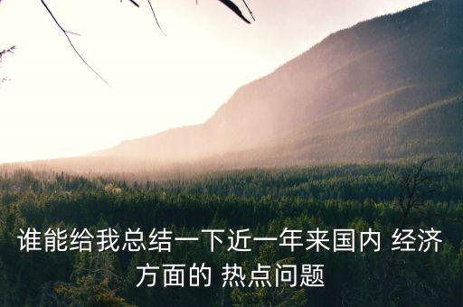 誰能給我總結(jié)一下近一年來國(guó)內(nèi) 經(jīng)濟(jì)方面的 熱點(diǎn)問題