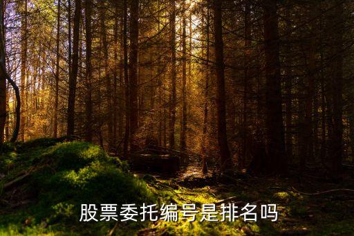 股票賣出合同號什么意思,股票合同編號1會優(yōu)先賣出嗎