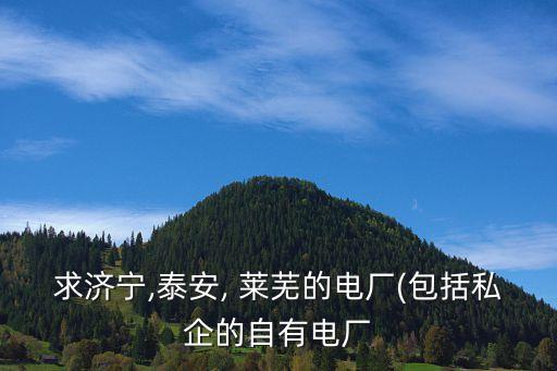 山東華能萊蕪熱電有限公司招聘,華能萊蕪發(fā)電有限公司領(lǐng)導班子