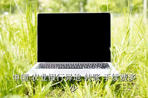 中國 農(nóng)業(yè)銀行異地 轉(zhuǎn)賬 手續(xù)費多少