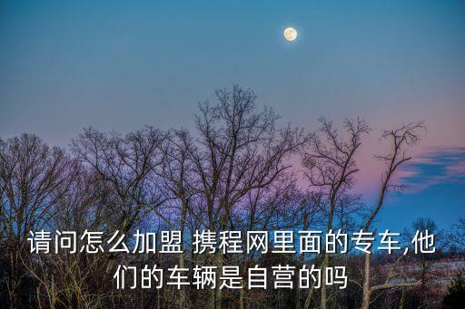 請(qǐng)問(wèn)怎么加盟 攜程網(wǎng)里面的專車(chē),他們的車(chē)輛是自營(yíng)的嗎