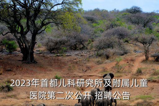 2023年首都兒科研究所及附屬兒童醫(yī)院第二次公開 招聘公告