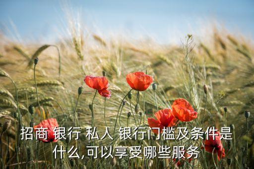 招商 銀行 私人 銀行門(mén)檻及條件是什么,可以享受哪些服務(wù)