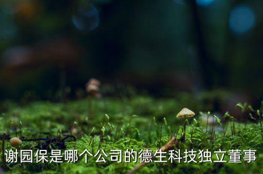 謝園保是哪個公司的德生科技獨立董事
