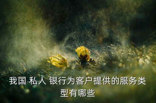 私人銀行顧問(wèn)咨詢(xún)業(yè)務(wù)范圍,采取顧問(wèn)咨詢(xún)模式的私人銀行