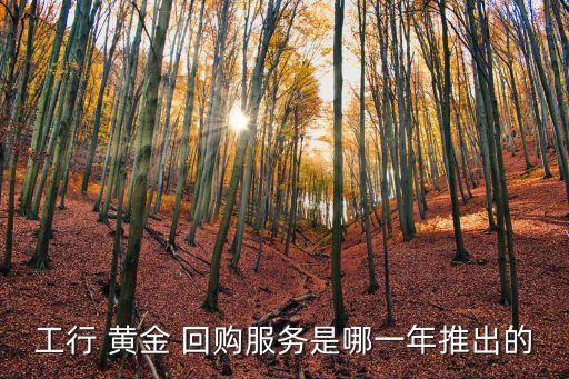 工行 黃金 回購服務(wù)是哪一年推出的