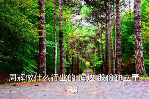 周輝做什么行業(yè)的 海達(dá) 股份獨立董事