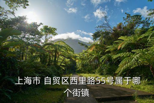 上海自貿(mào)區(qū)管理委員會(huì),自貿(mào)區(qū)沈陽片區(qū)管理委員會(huì)