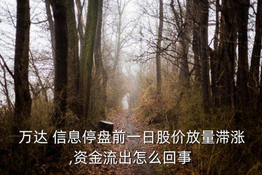  萬(wàn)達(dá) 信息停盤(pán)前一日股價(jià)放量滯漲,資金流出怎么回事