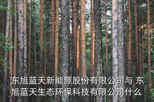  東旭藍天新能源股份有限公司與 東旭藍天生態(tài)環(huán)保科技有限公司什么