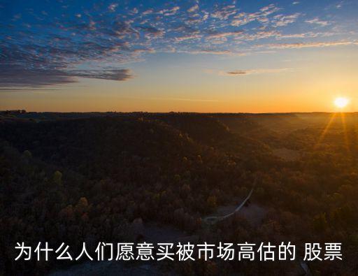 為什么人們愿意買被市場高估的 股票