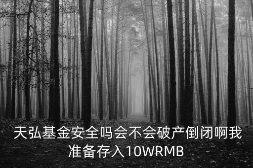  天弘基金安全嗎會不會破產(chǎn)倒閉啊我準(zhǔn)備存入10WRMB