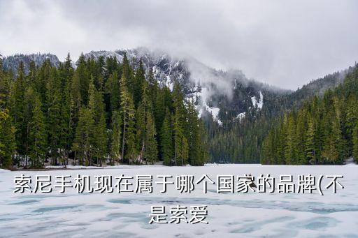 索尼手機(jī)現(xiàn)在屬于哪個(gè)國(guó)家的品牌(不是索愛(ài)