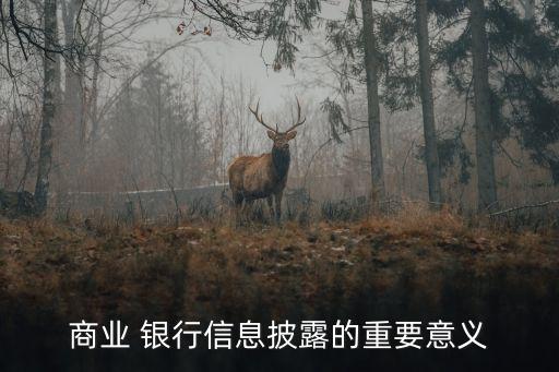 銀行董事會報告,銀行保險機(jī)構(gòu)董事會