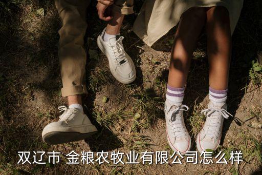 河南金糧糧食集團,河南糧食投資集團領(lǐng)導(dǎo)簡介