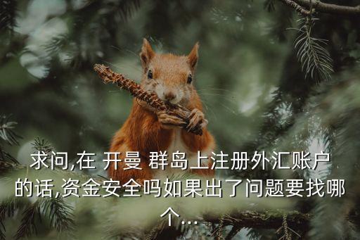 求問(wèn),在 開曼 群島上注冊(cè)外匯賬戶的話,資金安全嗎如果出了問(wèn)題要找哪個(gè)...