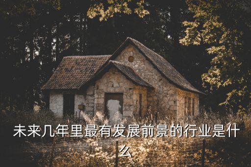中國(guó)未來(lái)產(chǎn)業(yè)