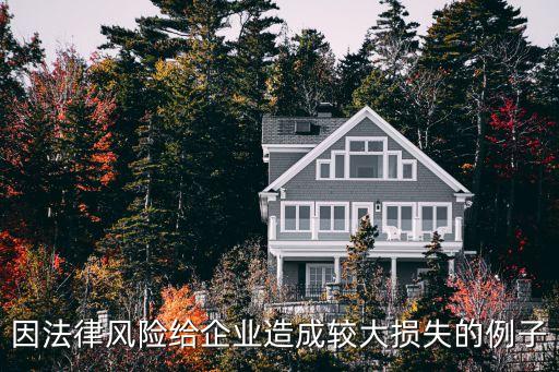 因法律風(fēng)險(xiǎn)給企業(yè)造成較大損失的例子
