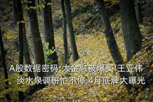 A股數(shù)據(jù)密碼:大金融被爆買(mǎi)!王亞偉、淡水泉調(diào)研忙不停,4月底牌大曝光...