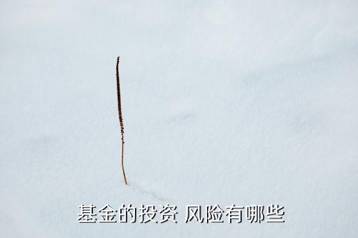  基金的投資 風(fēng)險(xiǎn)有哪些