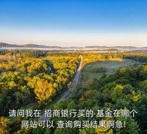 請問我在 招商銀行買的 基金在哪個網(wǎng)站可以 查詢購買結(jié)果啊急!