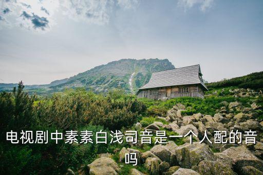 海寧國(guó)廣華策影視譯制有限公司