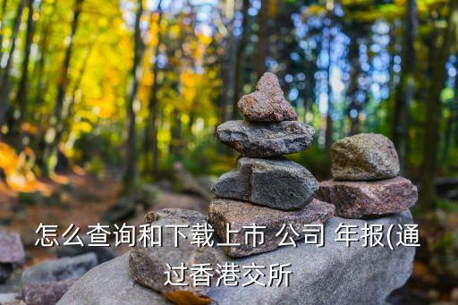 怎么查看公司年報,公司年報在哪里查
