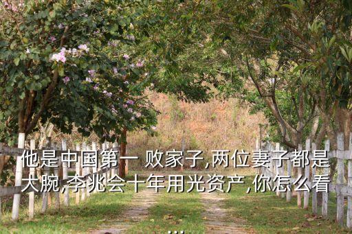 他是中國(guó)第一 敗家子,兩位妻子都是大腕,李兆會(huì)十年用光資產(chǎn),你怎么看...