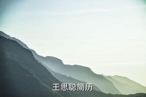 王思聰簡(jiǎn)歷