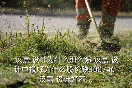 漢嘉設(shè)計集團(tuán)上市了嗎,濟(jì)南漢嘉設(shè)計集團(tuán)股份有限公司