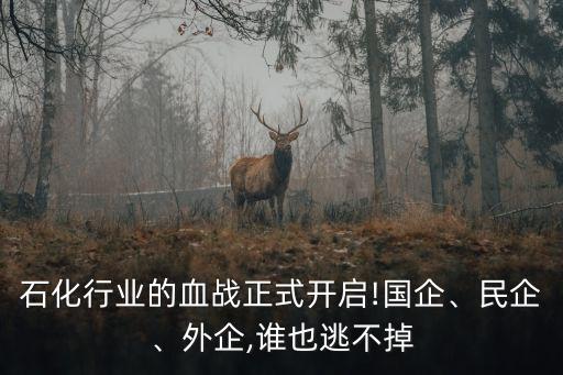石化行業(yè)的血戰(zhàn)正式開(kāi)啟!國(guó)企、民企、外企,誰(shuí)也逃不掉
