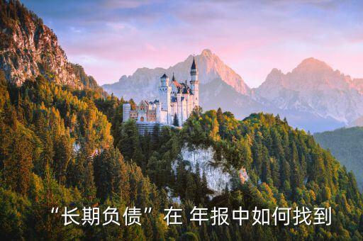 “長期負(fù)債”在 年報中如何找到