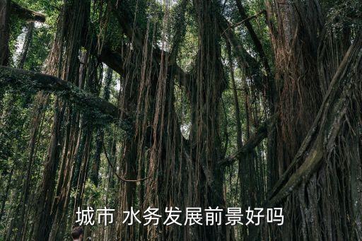 城市 水務發(fā)展前景好嗎