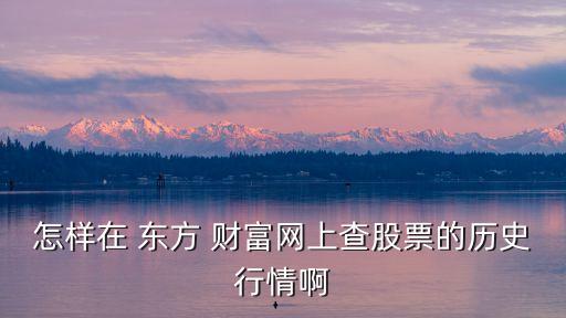 怎樣在 東方 財富網(wǎng)上查股票的歷史行情啊
