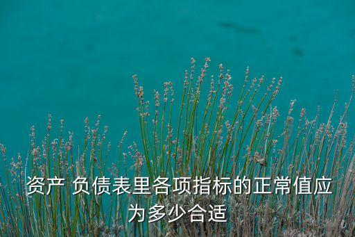  資產(chǎn) 負(fù)債表里各項(xiàng)指標(biāo)的正常值應(yīng)為多少合適