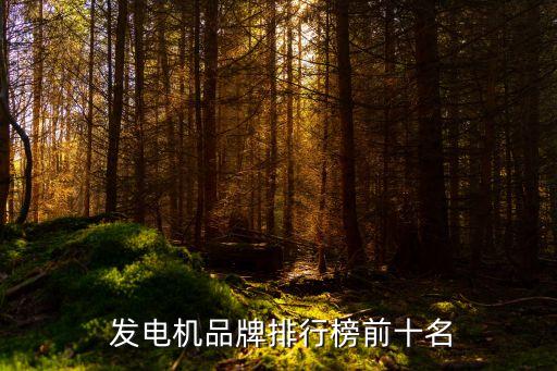  發(fā)電機(jī)品牌排行榜前十名