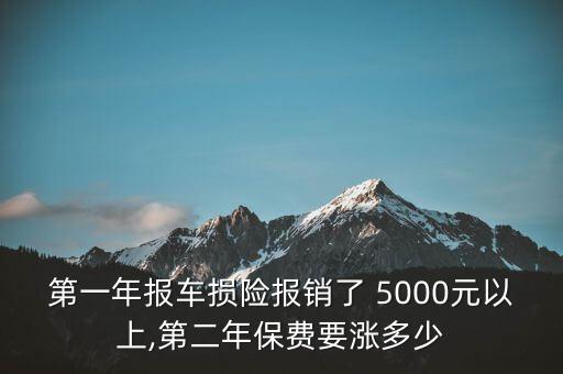 第一年報(bào)車(chē)損險(xiǎn)報(bào)銷(xiāo)了 5000元以上,第二年保費(fèi)要漲多少
