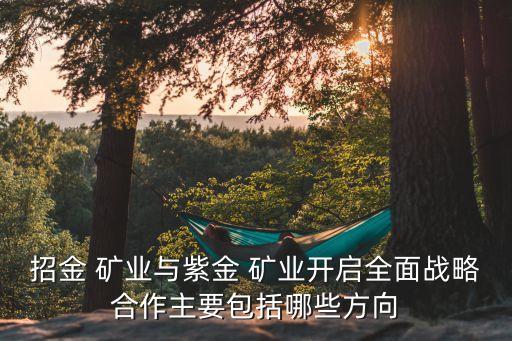 招金 礦業(yè)與紫金 礦業(yè)開(kāi)啟全面戰(zhàn)略合作主要包括哪些方向