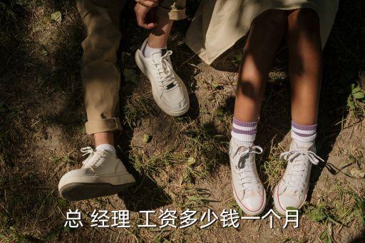 總 經(jīng)理 工資多少錢(qián)一個(gè)月