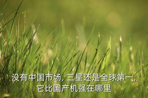 三星孫子上海,孫子霞 上海